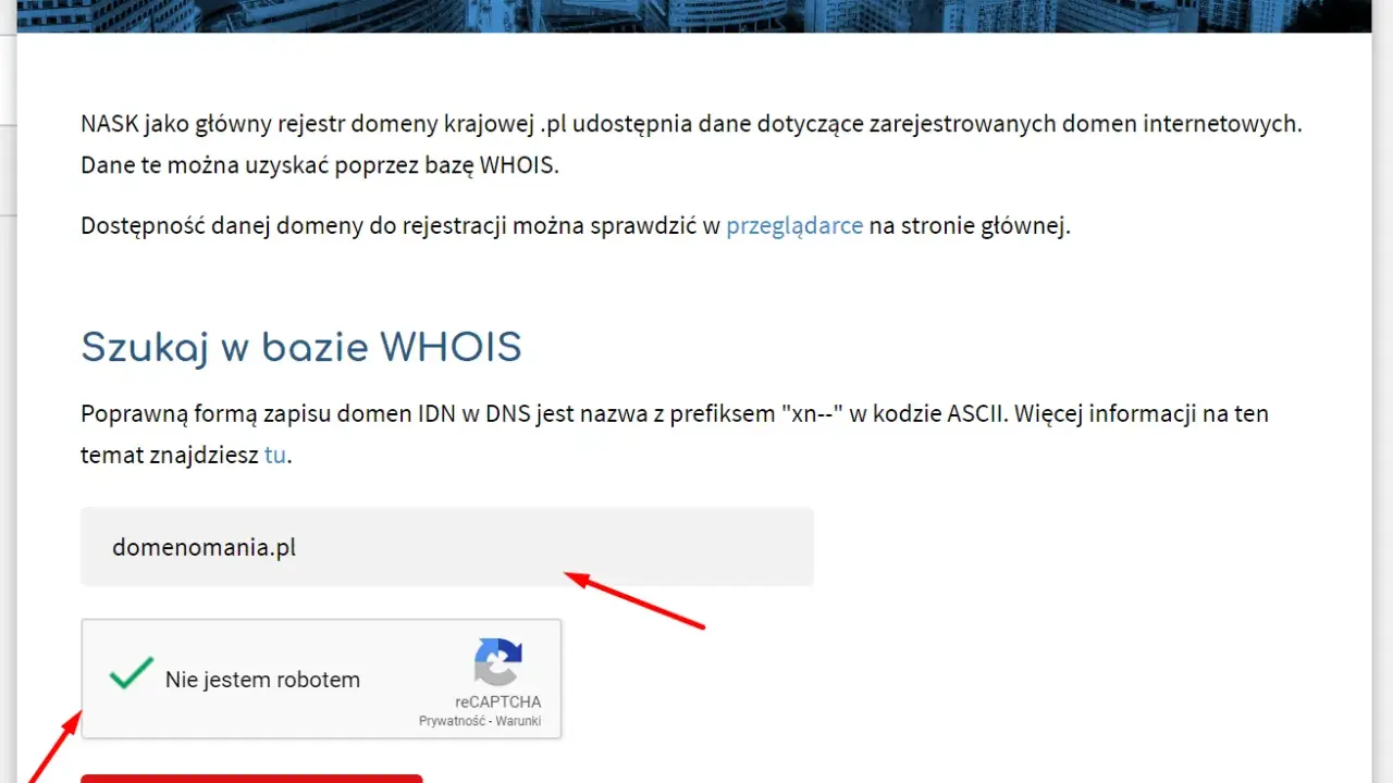 Kto jest właścicielem domeny? WHOIS, RODO pełny poradnik