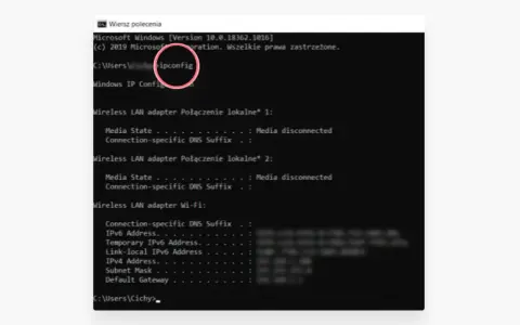 Jak sprawdzić IP? Publiczny, prywatny, router pełny poradnik