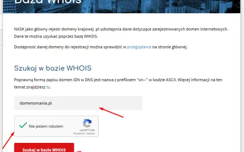 Kto jest właścicielem domeny? WHOIS, RODO pełny poradnik