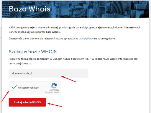 Kto jest właścicielem domeny? WHOIS, RODO pełny poradnik