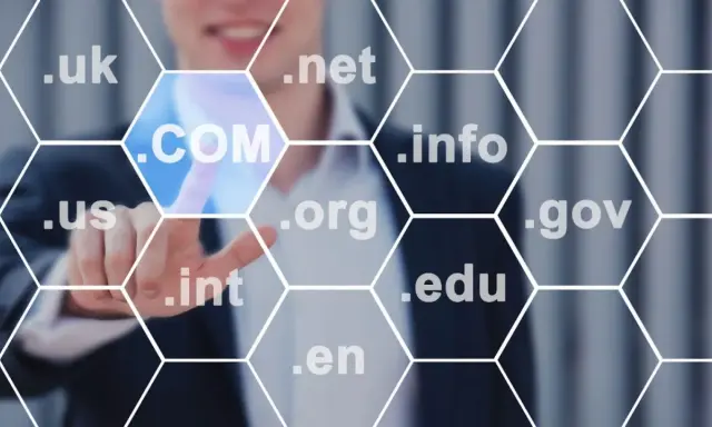Jak sprawdzić domenę? Uniknij miny SEO i problemów!