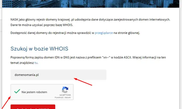 Kto jest właścicielem domeny? WHOIS, RODO pełny poradnik