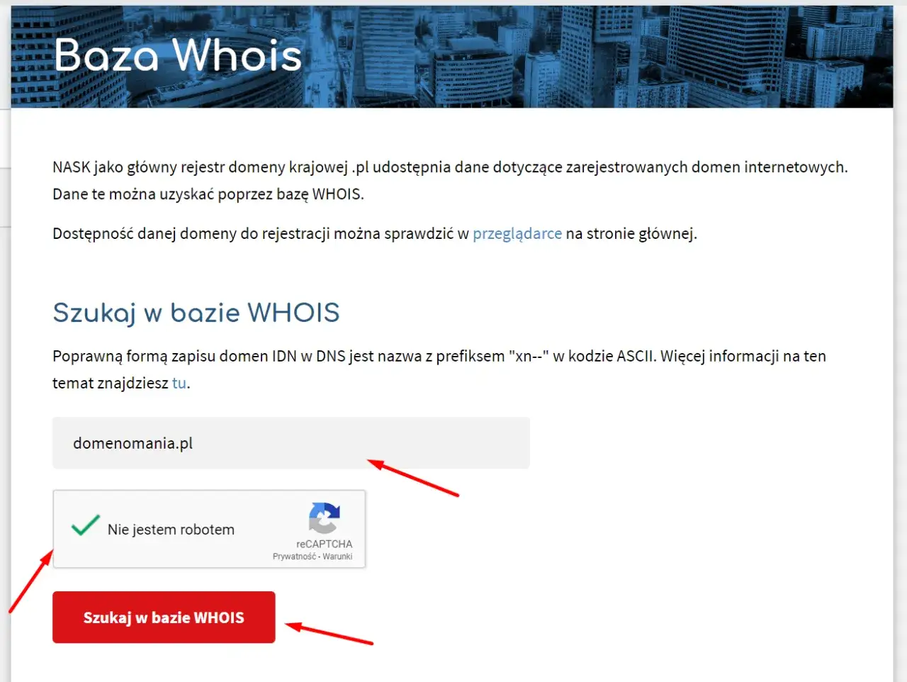 Baza danych WHOIS interfejs wyszukiwarki
