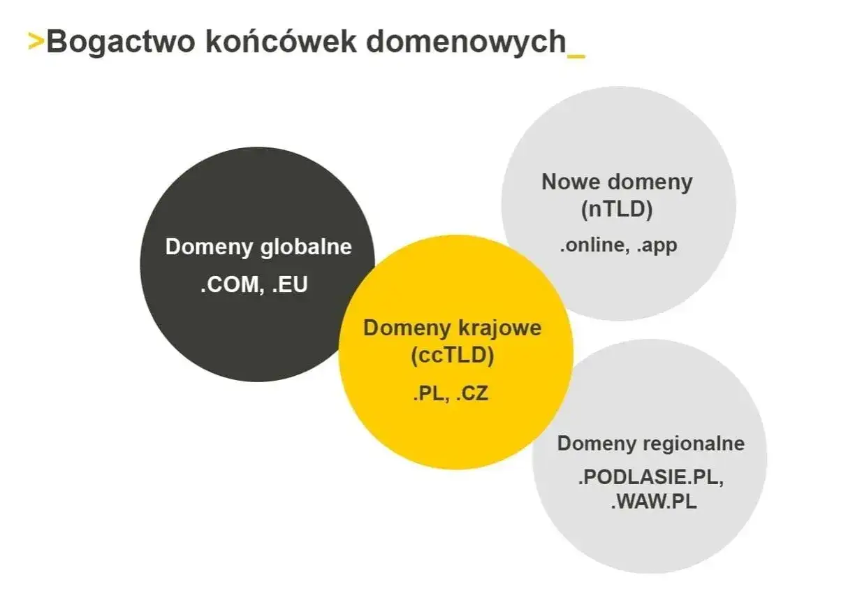 Znaczenie wyboru domeny dla biznesu online